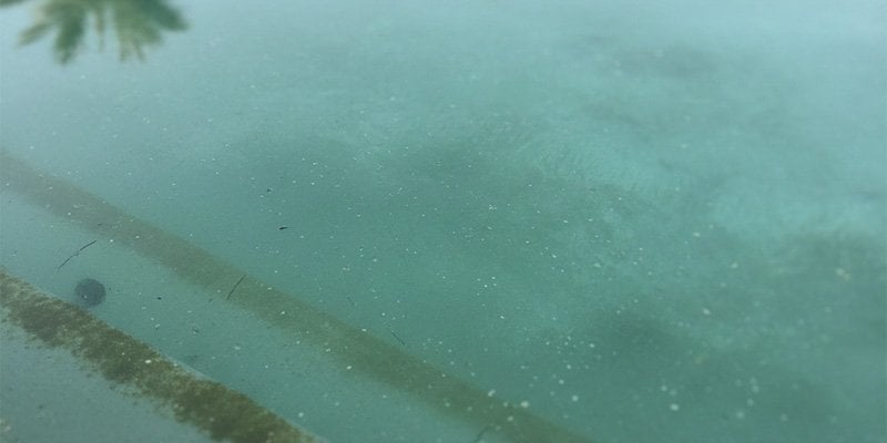 bulanik-havuz-suyu-ince-partikul-ve-askida-kir