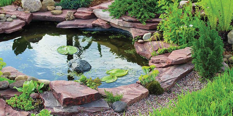 dogal-bahce-havuzu-bitkili-sus-havuzu