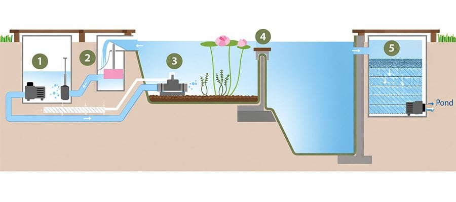 dogal-yuzme-havuzu-biyolojik-filtrasyon-sistemi-semasi