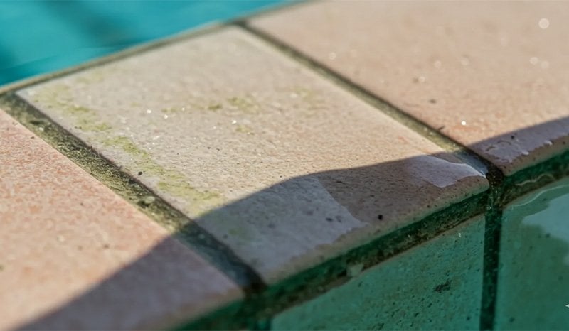 havuz-kenari-fayanslarda-yosun-alg-ve-kayganlik-olusumu