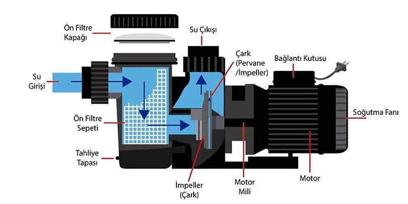 Havuz pompası çalışma prensibi: motor, impeller ve ön filtre haznesi ile su akışı