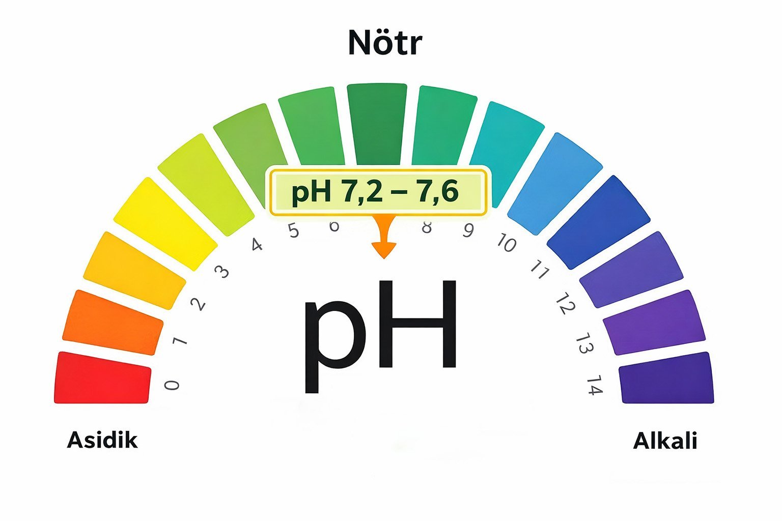 Havuz suyu pH ölçeği: ideal aralık 7.2–7.6 (asidik–nötr–alkali denge)