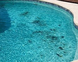 havuzda-siyah-yosun-olusumu-duvar-ve-taban-uzerinde-koyu-lekeler