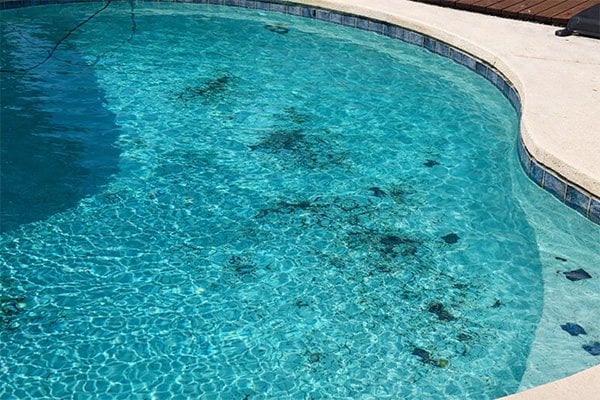 Havuzda siyah yosun oluşumu: duvar ve taban üzerinde köklenmiş siyah noktalar