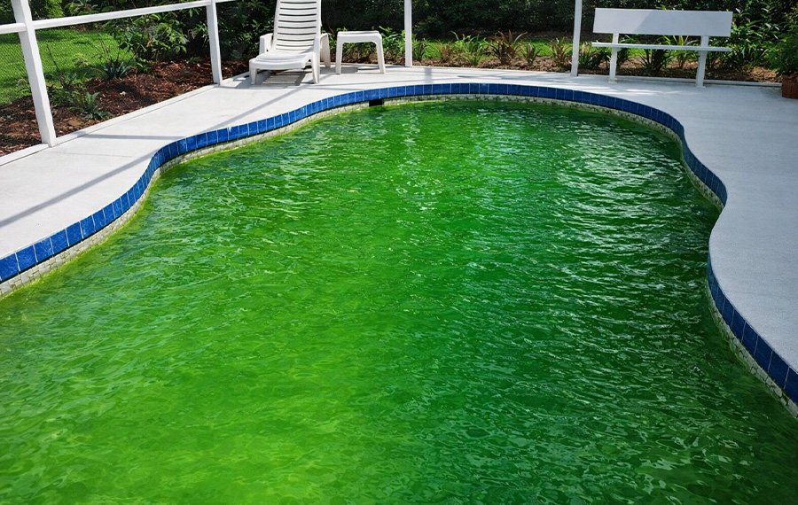 havuzda-yosun-olusumu-klor-ve-ph-dengesizligi-nedeniyle-yesil-su