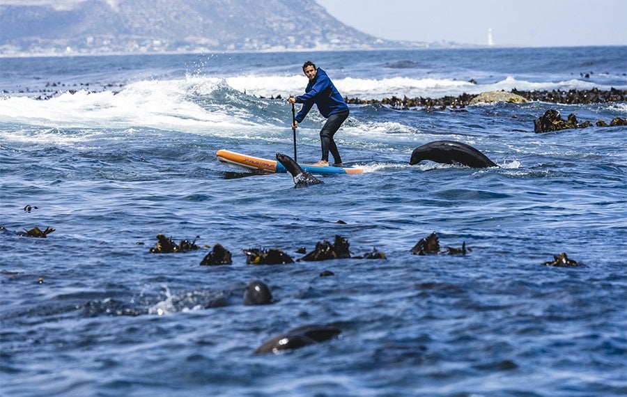 jp-australia-sup-denizde-paddle-yapan-kisi