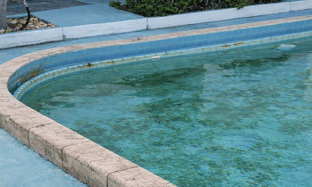 kaygan-havuz-duvarlari-biyofilm-olusumu-ve-yetersiz-sirkulasyon-problemi