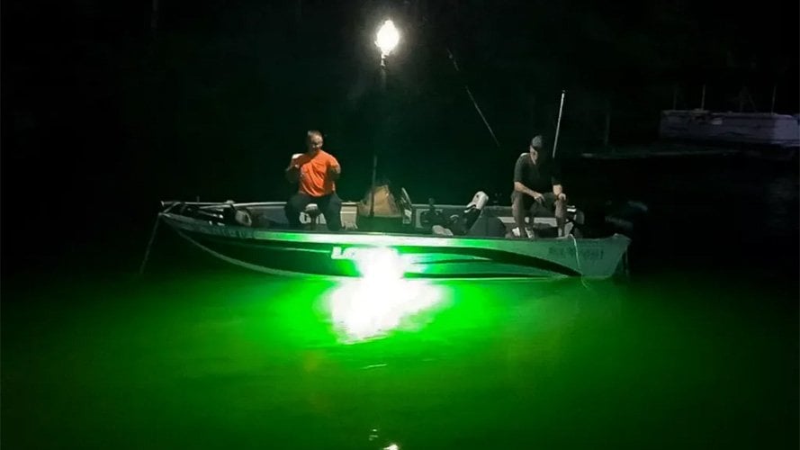 Kıyıdan gece avında LED ışığın oltadan yana konumlandırılması ve ışık-karanlık sınırında av hattı oluşturma