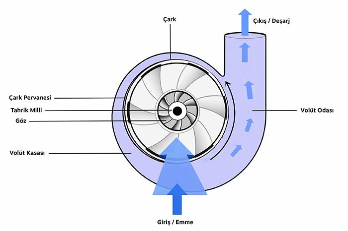 Santrifüj havuz pompası çalışma prensibi: çark (impeller) ve volüt (salyangoz gövde) şeması