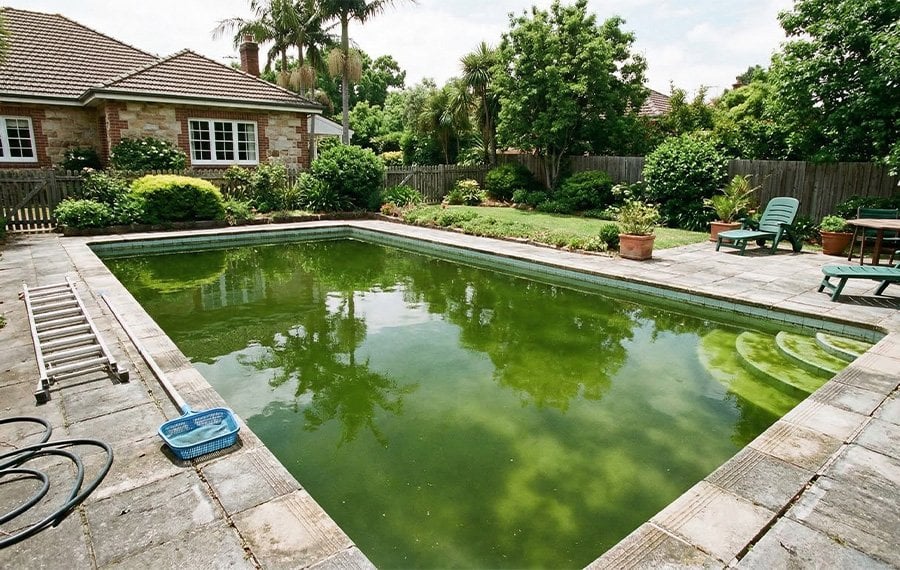 Yeşil havuz suyu, yosunlaşma ve alg kaynaklı havuz bakım sorunu