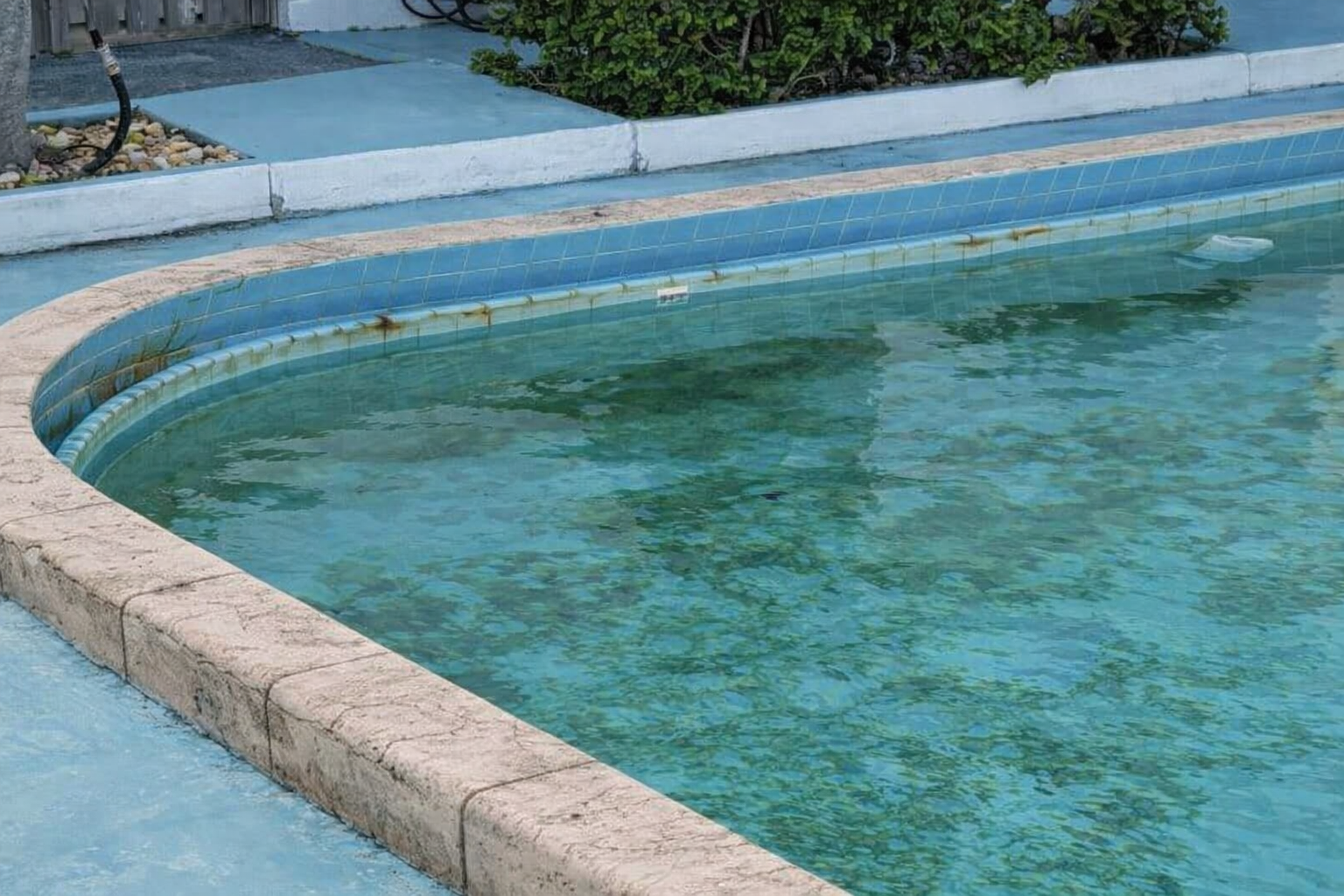 yosun-tutmus-kirli-havuz-suyu-ve-duvarlarda-alg-birikimi