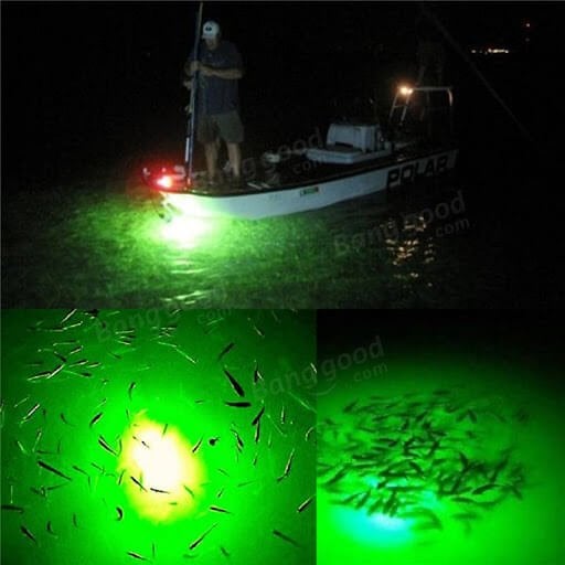 gece balık nasıl tutulur tekneden