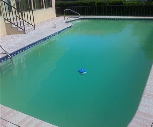 Havuz Suyu Rengi Neden Bulanık Olur?