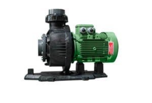 Bronz Fanlı Storm Havuz Pompası