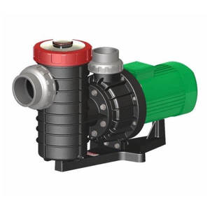 Taşkın 4,5 Hp Ön Filtreli Havuz Pompa