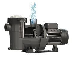 Astral Victoria Plus Silent 1 hp Havuz Pompası 220 Volt