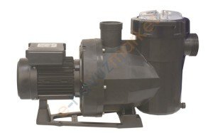 Astral Victoria Plus Silent 1 hp Havuz Pompası 220 Volt