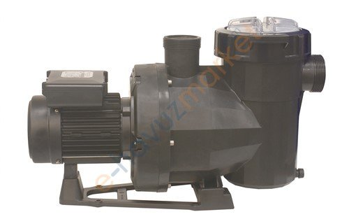 パルバスター【みほ】 Astral Vikctoria Havuz pompası 3 Hp