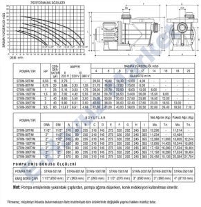 Strn-300T 3 Hp 380 Volt Havuz Pompa