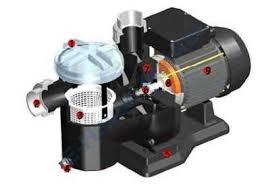 Astral sena pompa 1.25 Hp 220 volt