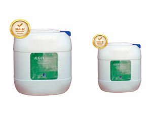 Algex Yosun Önleyici 10 kg